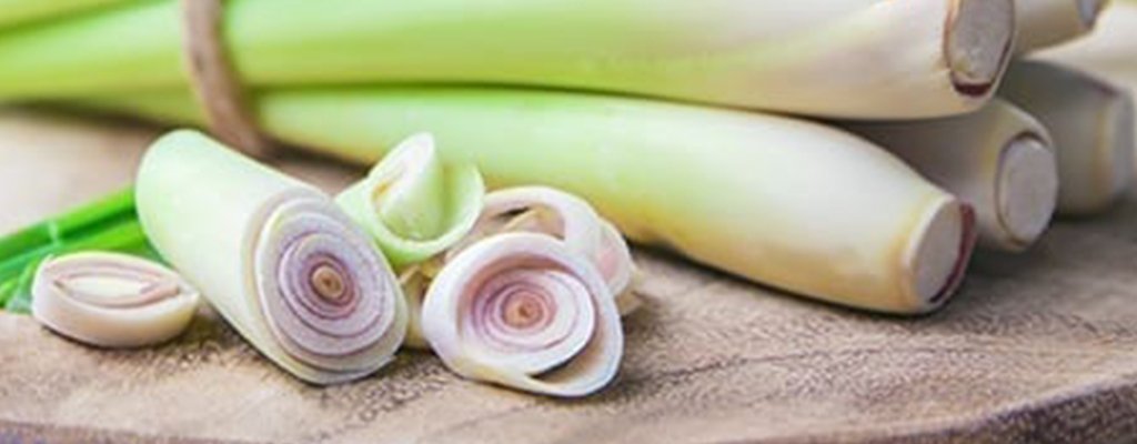 Lemongrass Lemongrass