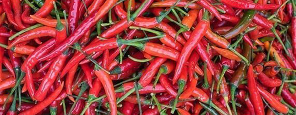 The Magic of Thai Chilli