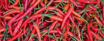 The Magic of Thai Chilli