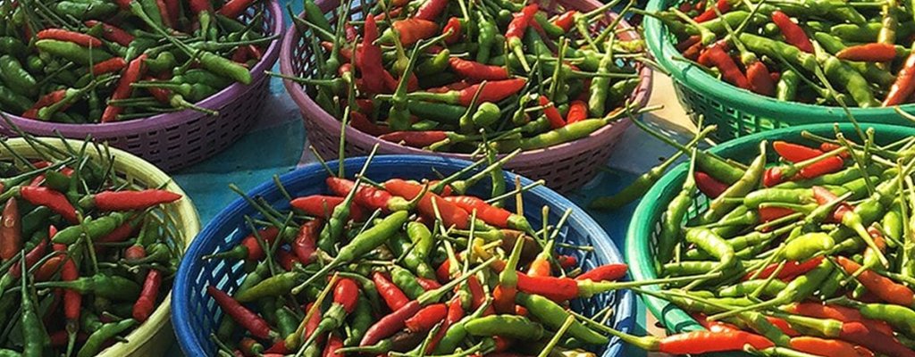 Get to know: Red and Green Chillies - Mae Jum Store