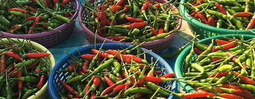 Get to know: Red and Green Chillies