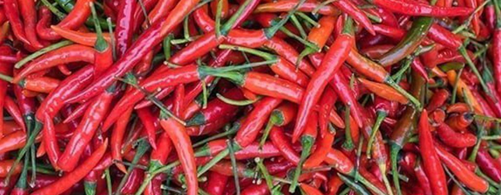 The Magic of Thai Chilli - Mae Jum Store